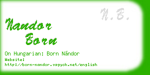 nandor born business card